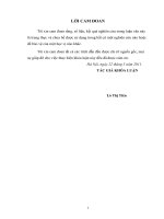 Đánh giá hiệu quả kinh tế một số mô hình vườn đồi ở huyện Lang Chánh, tỉnh Thanh Hóa