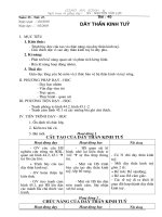 Bai 45. Day than kinh tuy