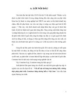 tiểu luận Vấn đề vận tải hàng hoá đường biển, những biện pháp phát triển Container bằng đường biển ở Việt Nam