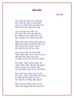 Bài thơ NÚI ĐÔI