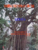 BAI 23. NHỮNG CUỘC KHỞI NGHĨA LỚN TRONG CÁC THẾ KỶ VII - IX
