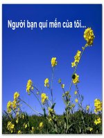 Gửi người bạn quý mến của tôi