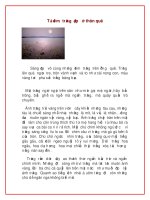 Tả đêm trăng đẹp ở thôn quê