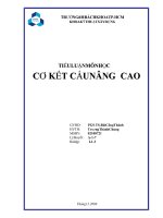 tiểu luận cơ kết cấu nâng cao