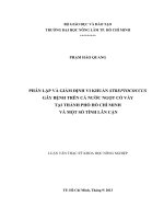 Phân lâp và giám định vi khuẩn Streptococcus trên cá nước ngọt có vảy tại TP HCM và một số tình lân cận