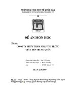 TIỂU LUẬN CÔNG TY BITIS THÂM NHẬP THỊ TRƯỜNG  GIÀY DÉP TRUNG QUỐC