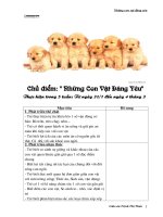 chu diem:nhung con vat dang yeu