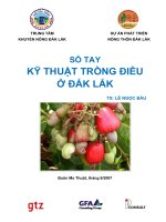 sổ tay kỹ thuật trồng điều ở đắk lắk   lê ngọc báu