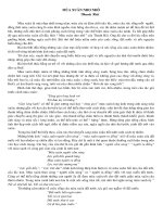 phan tich: mua xuan nhonho