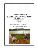 Giáo trình sản xuất cây giống bằng hom cành   mđ03  sản xuất kinh doanh cây giống lâm nghiệp