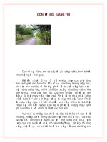 Con đường làng tôi