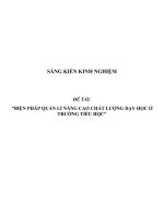 SKKN Biện pháp quản lí nâng cao chất lượng dạy học ở trường tiểu học