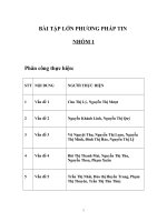 BÀI TẬP LỚN PHƯƠNG PHÁP TIN