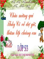 Tiet 119 Luyen tap chung- Toan 5