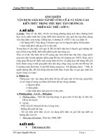 skkn VẬN DỤNG GIẢI BÀI TẬP ĐỂ CỦNG CỐ  VÀ NÂNG CAO KIẾN THỨC TRONG VIỆC HỌC TẬP CHƯƠNG II: NHIỄM SẮC THỂ ( LỚP 9 )