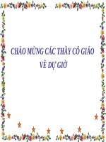 tiet 48. cau tao trong cua tho