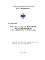 HIỆN TRẠNG VÀ GIẢI PHÁP PHÁT TRIỂN KINH TẾ TẬP THỂ TRONG NÔNG NGHIỆP HIỆN NAY.