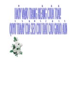 Giáo án hình học và đại số 7 cực chuẩn