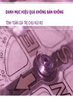 TÍNH TOÁN GIÁ TRỊ CHỊU rủi RO