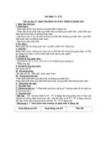 Giáo án sinh 11 bài 37