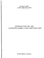 Kế hoạch 5 năm 2016 2020 ngành nông nghiệp và phát triển nông thôn