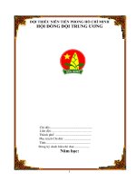 Mẫu sổ Chi Đội