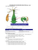 Đề cương ôn tập môn Sinh 6