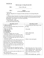 giao an chuẩn tuần 24