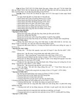 Bài dự thi tìm hiểu truyền thống của Đoàn