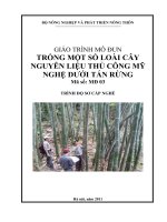 Giáo trình trồng một số loài cây nguyên liệu thủ công mỹ nghệ dưới tán rừng   mđ03  trồng và khai thác một số loài cây dưới tán rừng
