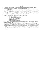 ĐỀ THI TIẾNG VIỆT 2