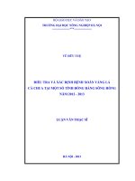 Điều tra và xác định bệnh xoăn vàng lá cà chua tại một số tỉnh đồng bằng sông hồng năm 2012   2013