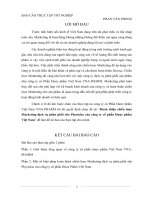 Hoàn thiện chiến lược Marketing dịch vụ phân phối sữa Physiolac của công ty cổ phần Dược phẩm Việt Nam