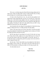 Bài tiểu luận vấn đề mâu thuẫn trong công nghiệp hoá, hiện đại hoá nông nghiệp ở nước ta hiện nay