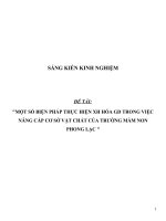 SKKN Một số biện pháp thực hiện XH hóa GD trong việc nâng cấp cơ sở vật chất của Trường MN Phong Lạc