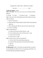 Tiet 90.Kiem tra Tieng Viet