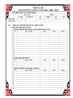 Mẫu sổ truyền  thống Liên Đội