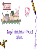 Bài 9. Tế bào nhân thực - Ti thể