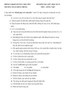 Đề KT T Việt giữa kì II-4