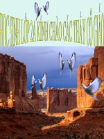 bảng chia 4 lớp 2