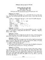 de thi HSG hoa 9 nam 2009-2010