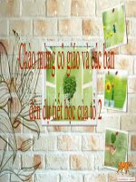 Thực hành về đông nam á