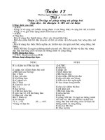 giáo án lớp ghép 2+3 tuần 17