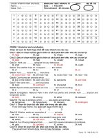 de kiem tra 45 tieng anh khoi 10