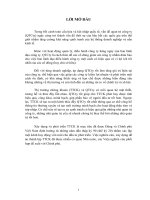 Tiểu luận thị trường chứng khoán