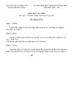 KÌ THI CHỌN HỌC SINH GIỎI THÀNH PHỐ MÔN NGỮ VĂN LỚP 9 NĂM HỌC 2010 – 2011