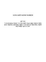 SKKN Cách khai thác và tổ chức dạy học phần tiểu dẫn trong giờ đọc hiểu văn bản ở trường THPT đạt hiệu quả cao