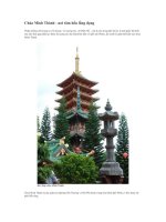 thuyet minh ve cac dltc