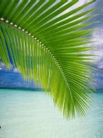 Bai: Phep tru trong pham vi 7