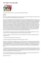 TLV5 -Tả cô bảo mẫu